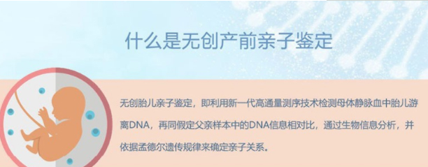 贵港胎儿亲子鉴定收费标准,