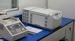 贵港私下做血缘检测如何做,贵港隐私亲子鉴定流程是什么 贵港私下做血缘检测如何做,贵港隐私亲子鉴定流程是什么